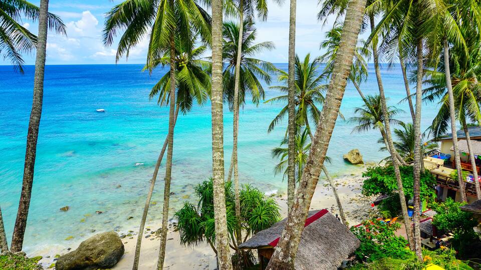 A tropical beach with clear turquoise waters, palm trees, and a thatched-roof hut.