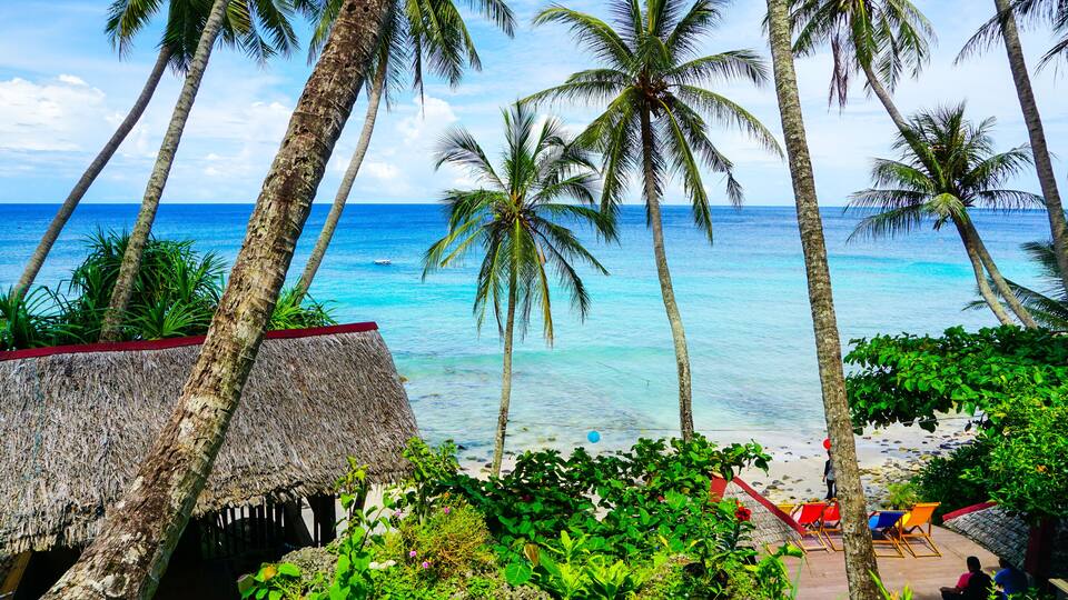A beach with palm trees, a thatched hut, and a clear blue ocean.
