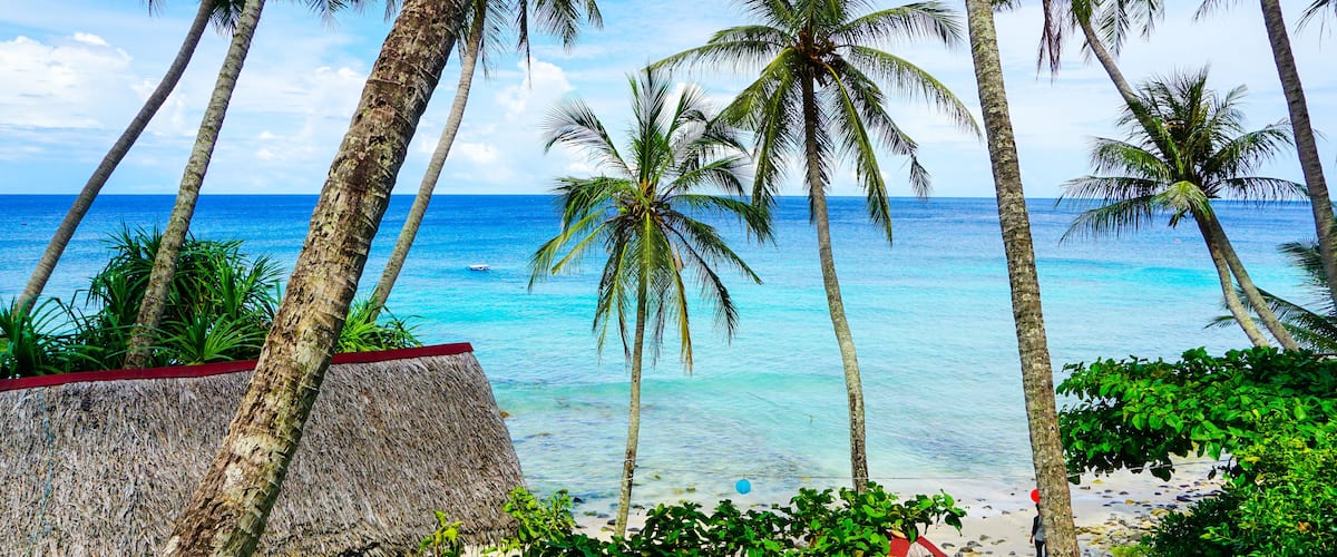 A beach with palm trees, a thatched hut, and a clear blue ocean.