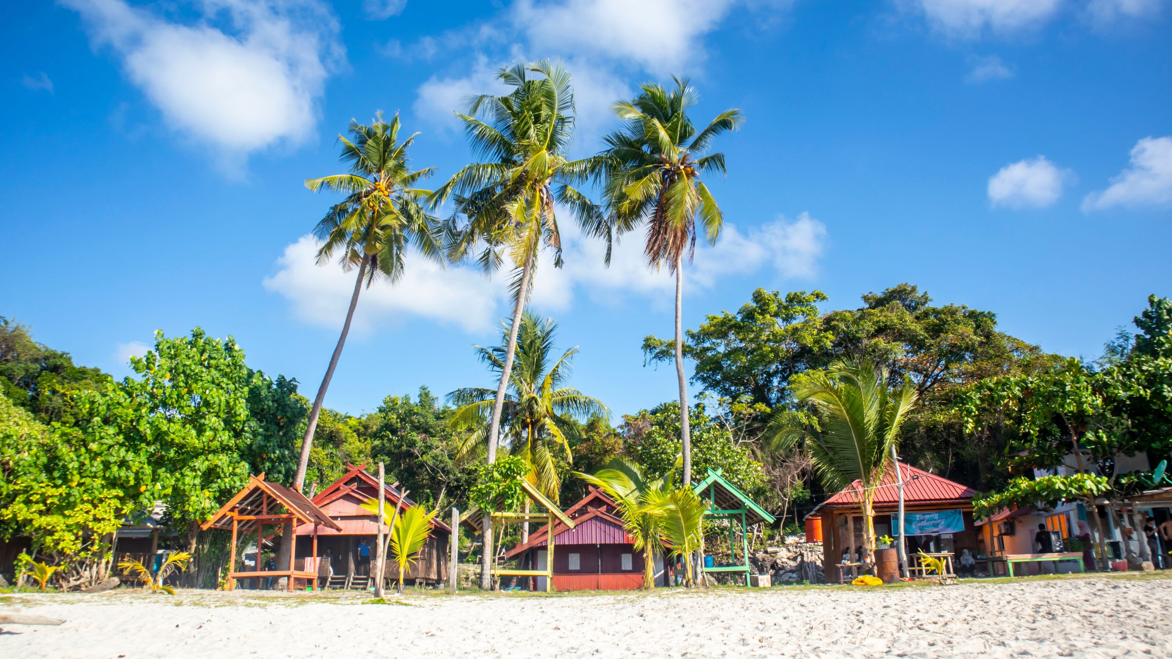 tropical beach with coconut palm trees and blue sky at Bara beach, Bira Bay