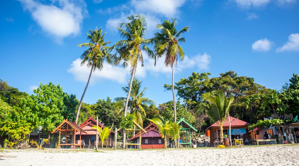 tropical beach with coconut palm trees and blue sky at Bara beach, Bira Bay