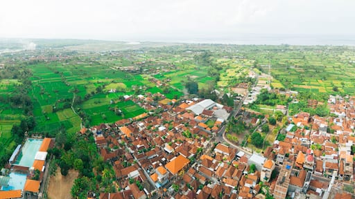 Panoramic aerial drone view of Muslim Balinese settlements near green paddy fields scenery at Gelgel Village in Klungkung, Bali, Indonesia.
