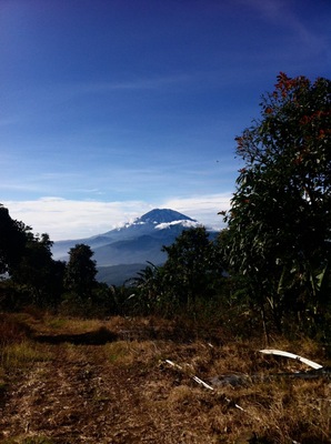 Ungaran Mt. from candi