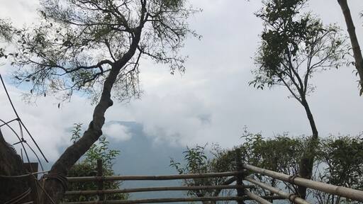 View from a treehouse made singlehandedly by a villager over a span of 5 years...