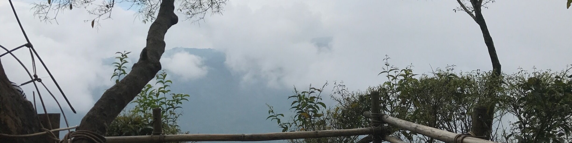 View from a treehouse made singlehandedly by a villager over a span of 5 years...