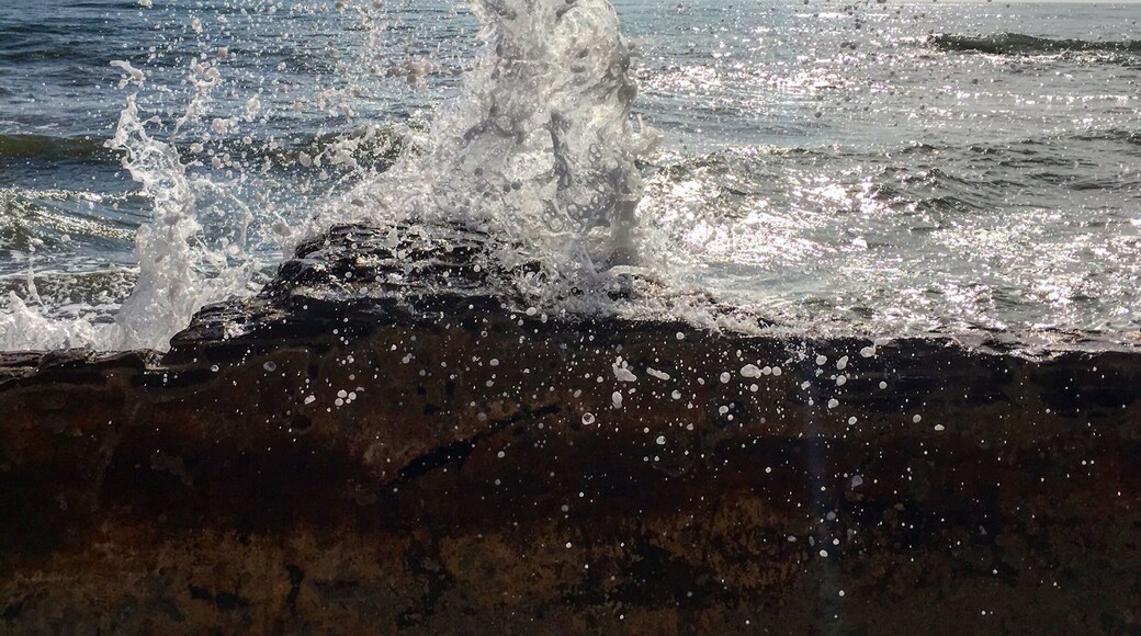 Sound of music! #tranquebar #tamilnadu #dutch #bayofbengal #india