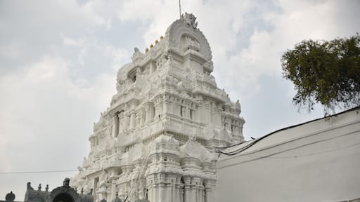 Srikalahasti temple, Andhra Pradesh