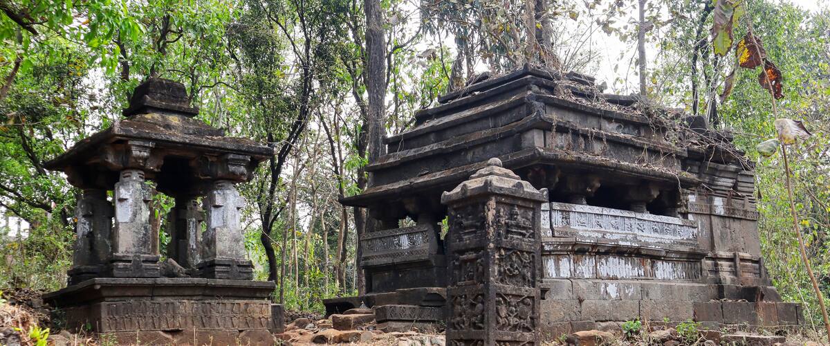 Ancient stone structures surrounded by dense forest.