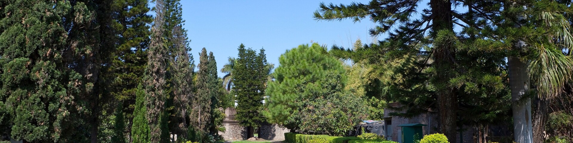 Un jardín ajardinado con un sendero de piedra, varios árboles y arbustos bien cuidados.