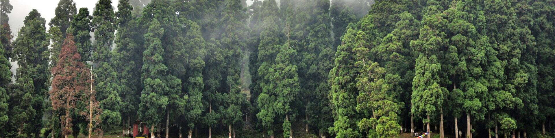 Mirik Lake,Darjeeling....Natural Greeneries surrounding the Lake of Mirik is a Beautiful Tourist Attraction.