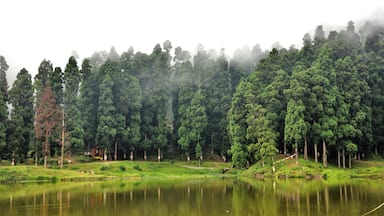 Mirik Lake,Darjeeling....Natural Greeneries surrounding the Lake of Mirik is a Beautiful Tourist Attraction.