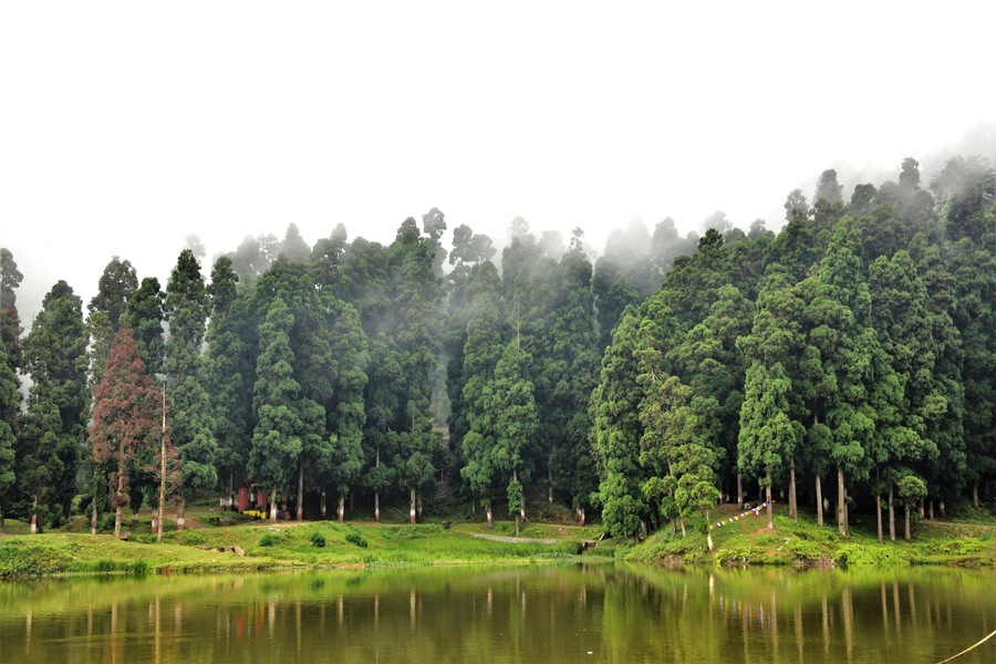 Mirik Lake,Darjeeling....Natural Greeneries surrounding the Lake of Mirik is a Beautiful Tourist Attraction.