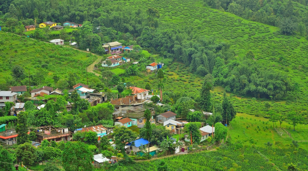 Mirik