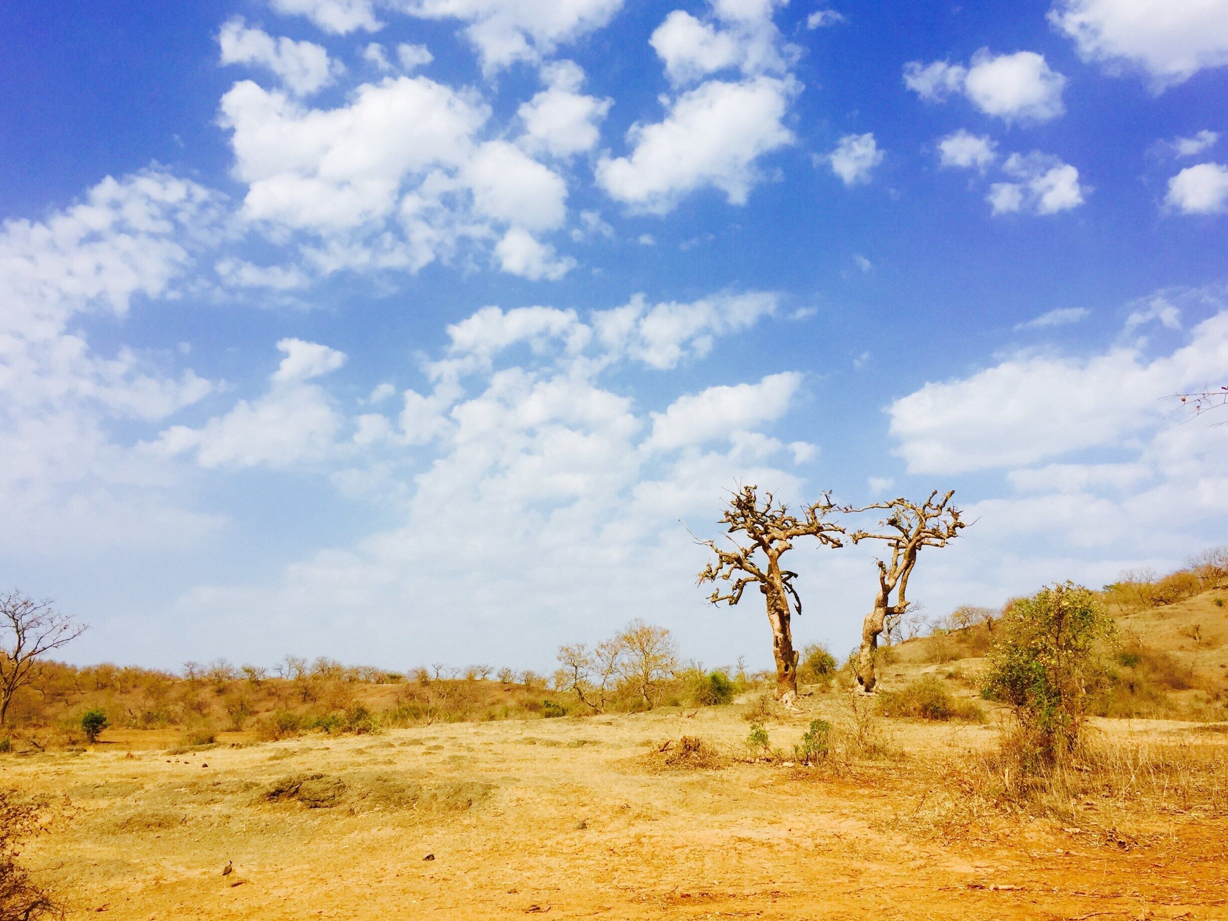 Land of adversities, in a variety of hues.. 
Even in the face of the worst #blue, you and I can pull through..