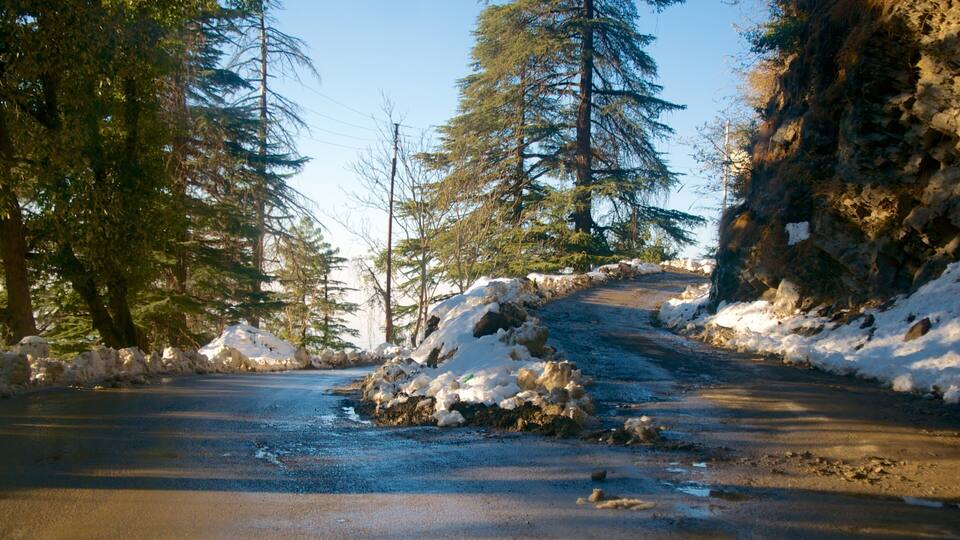 A snow-covered road flanked by trees and rocky terrain.