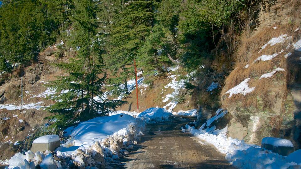 A snow-covered path with trees and rocky terrain.