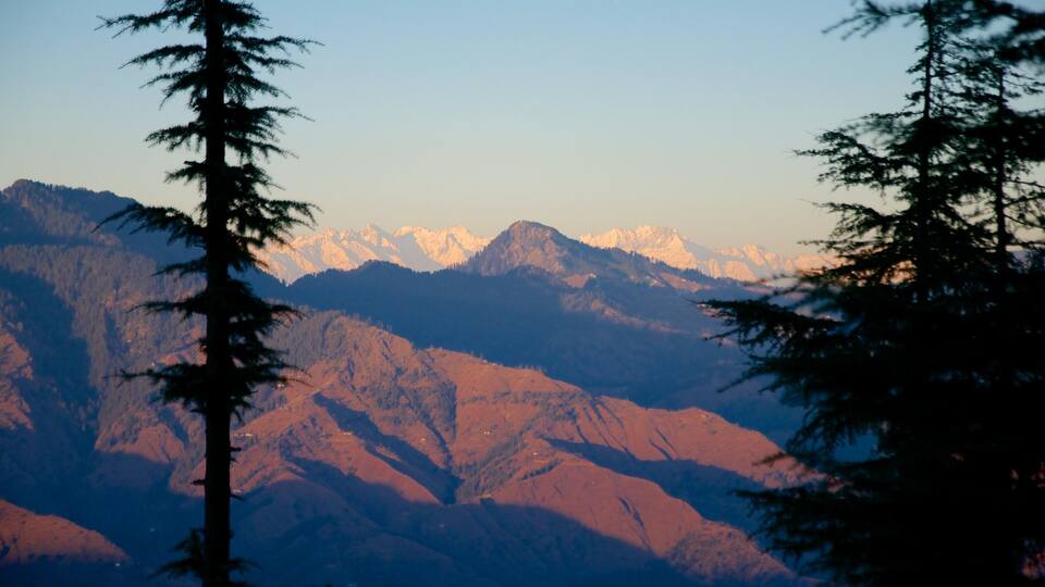 A mountain range with snow-capped peaks and coniferous trees.