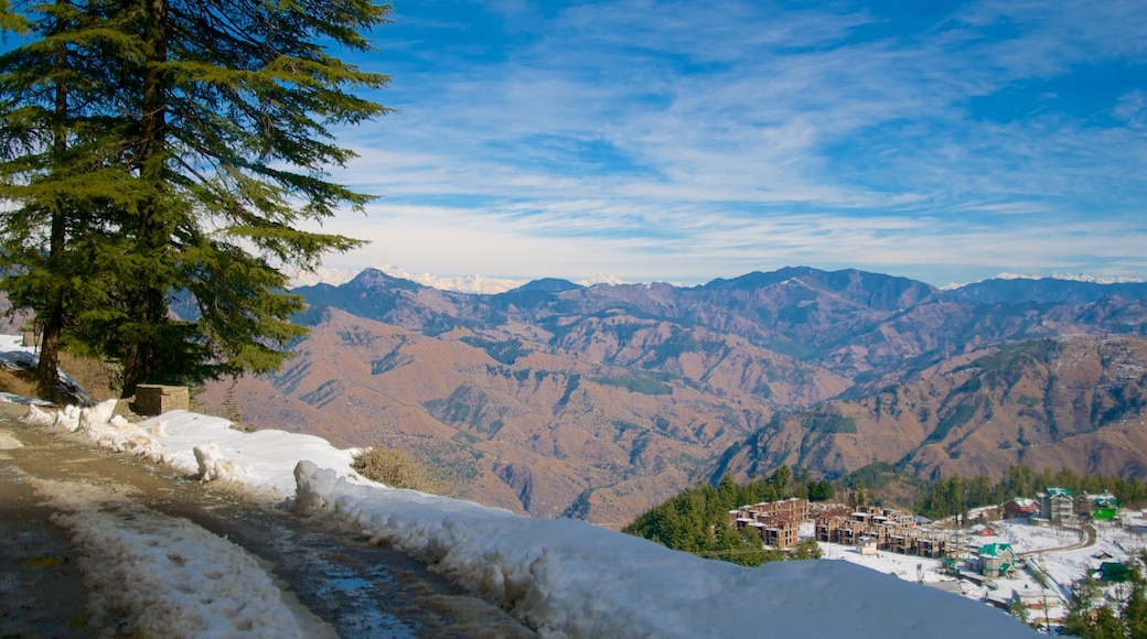 Shimla welches beinhaltet Berge