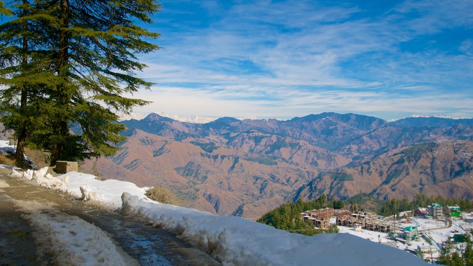A mountainous landscape with snow-covered slopes, a village at the base, and a prominent evergreen tree on the left.