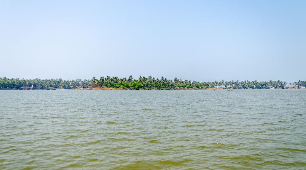 Backwaters of Kemmanu delta