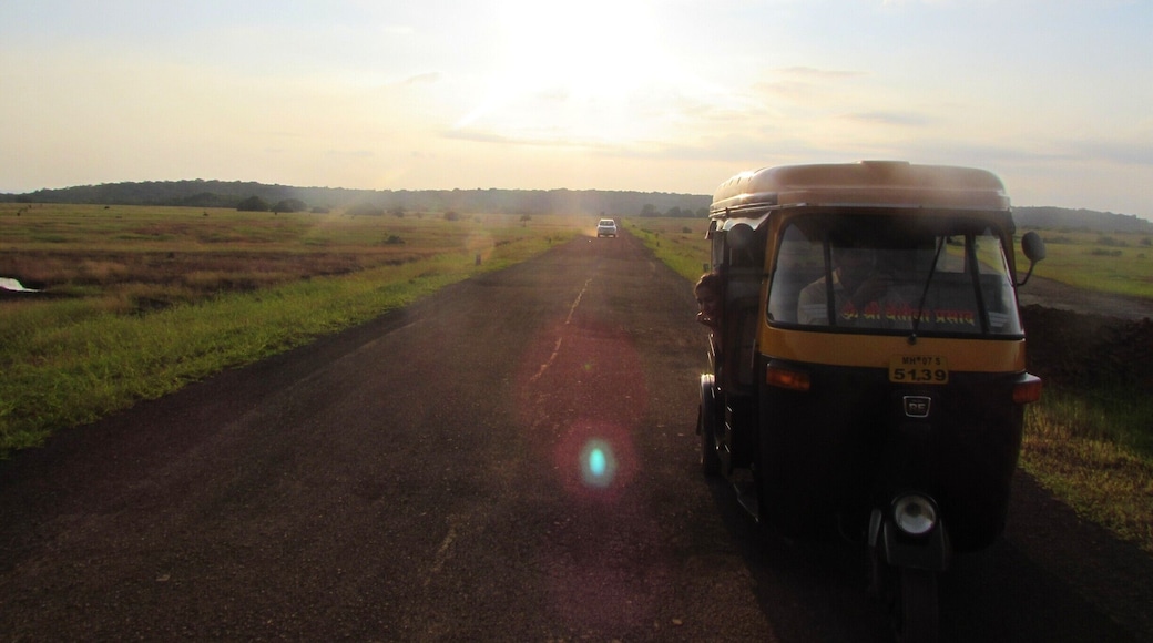 The area around Kudal in Sindhudurg district at Maharashtra's southernmost tip of the Konkan coast, has undulating hills, isolated beaches, tiny towns and villages, and the most friendly & welcoming people..still waiting to be discovered by outsiders, a coveted experience to jump at before it is discovered. #troveon #goldenhour