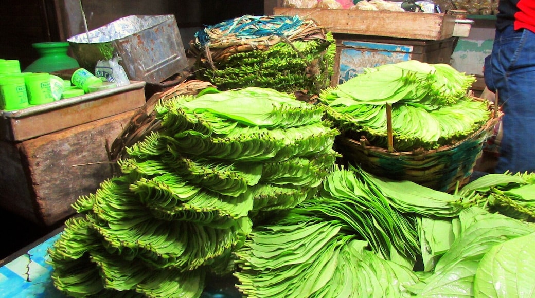 Neon green paan(betel) leaves at the local wholesale dealer