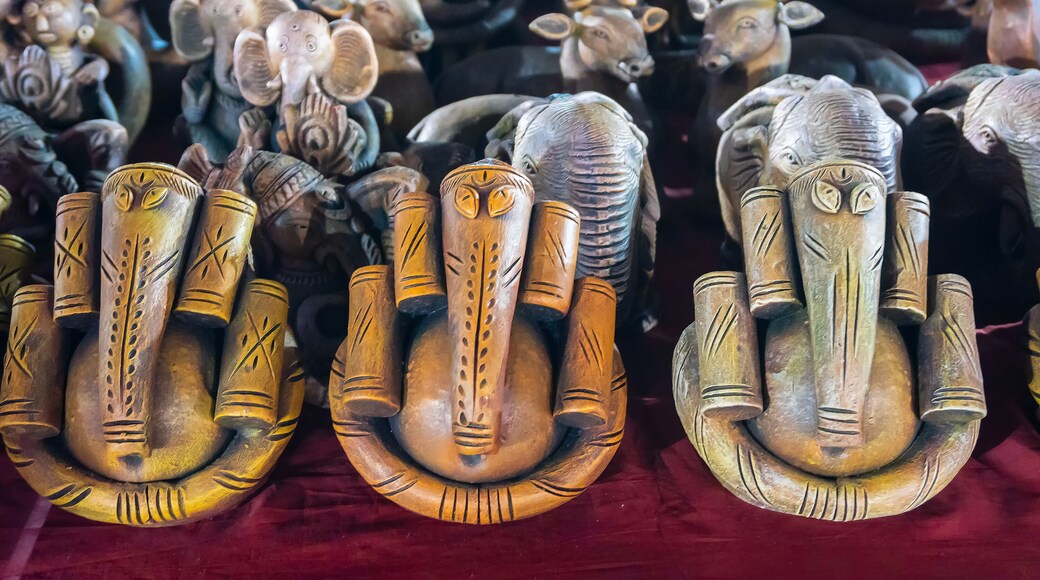 克里斯赫纳纳加尔