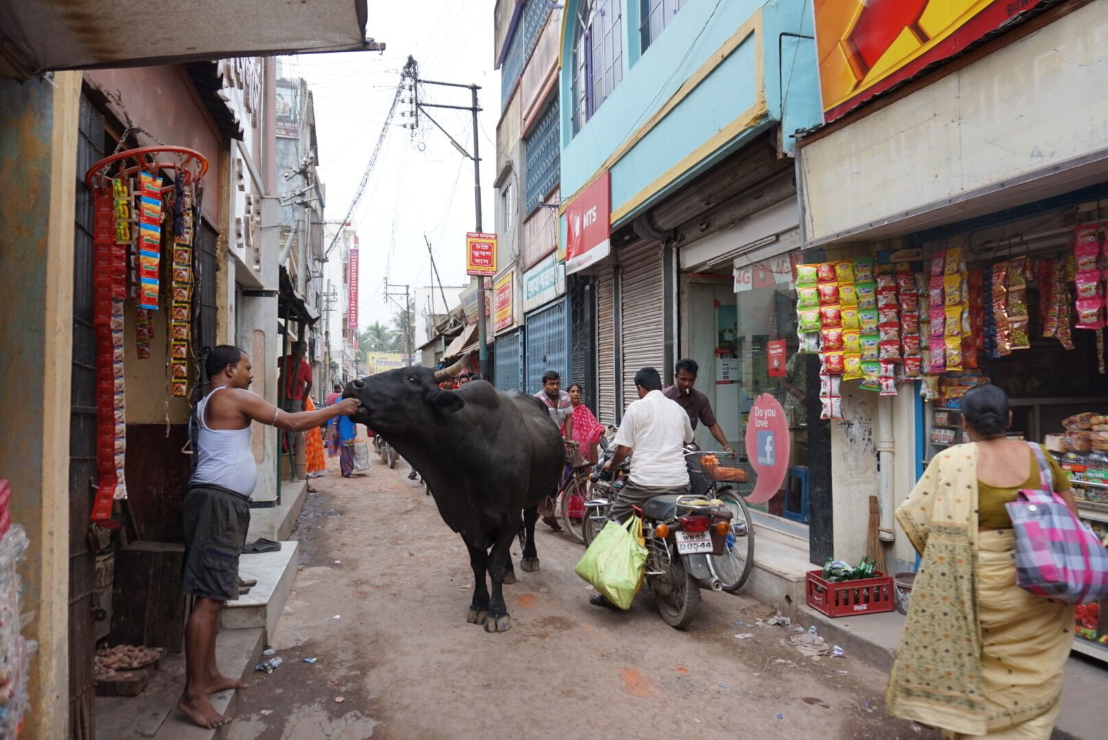 A narrow street with shops on both sides, a man feeding a cow, and a woman walking by.