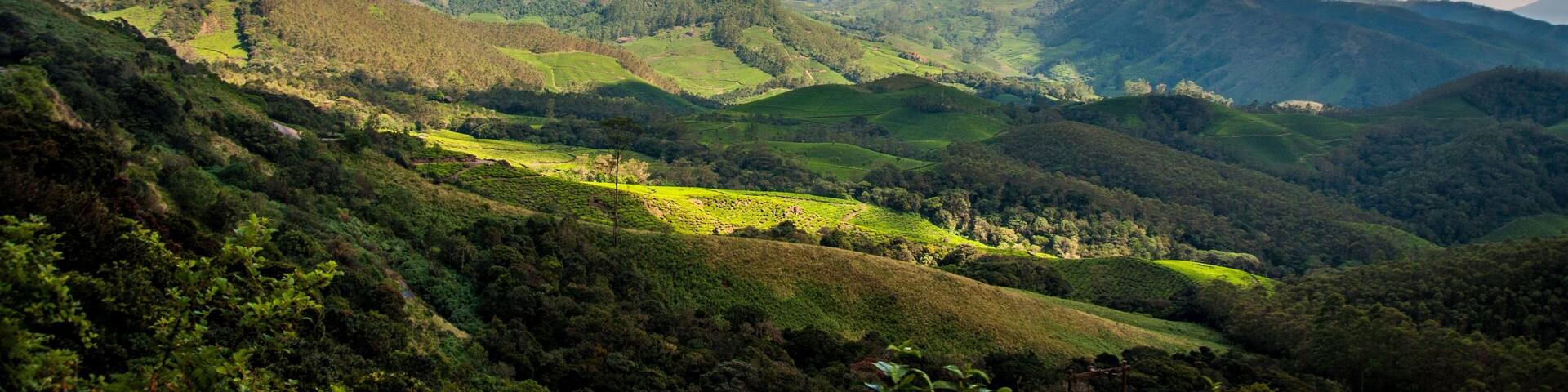 Aerial view of a beautiful forest near the mountains in Kanthalloor, India