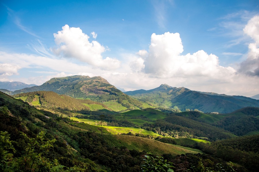 Aerial view of a beautiful forest near the mountains in Kanthalloor, India