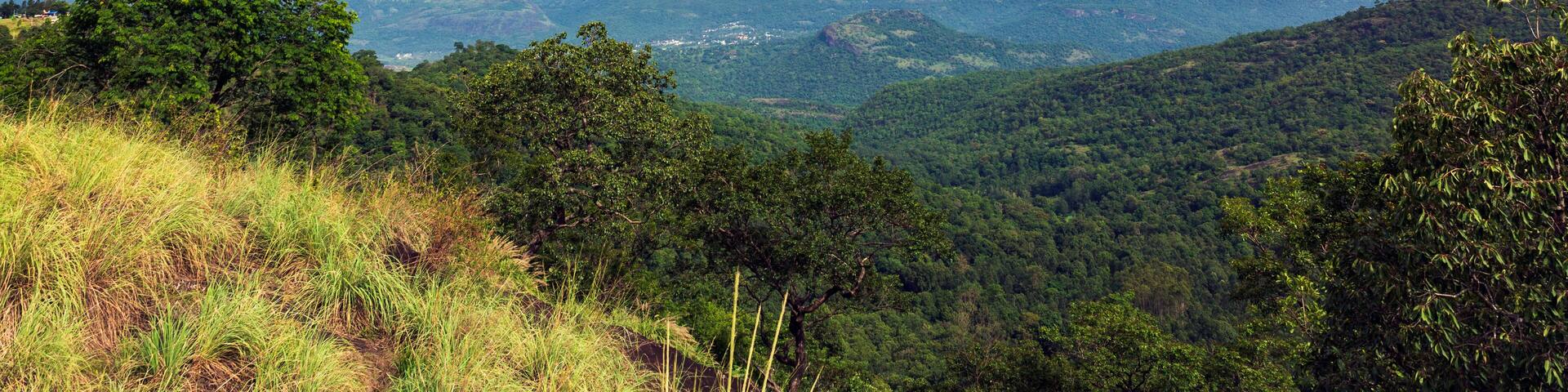 Aerial view of a beautiful forest village near the mountains in Kanthalloor, Munnar, Kerala, India.
