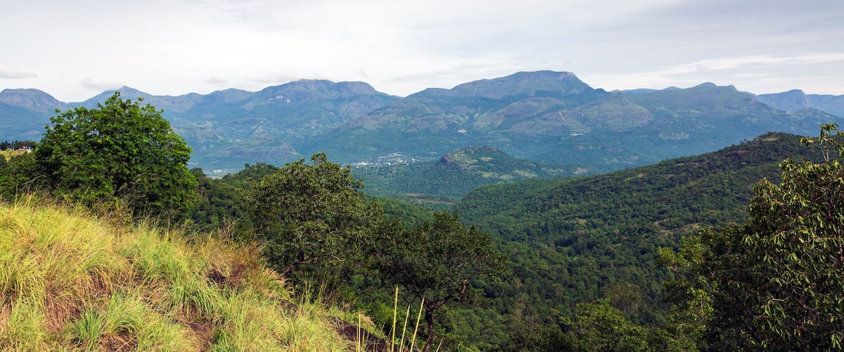 A mountainous landscape with dense forests and a village in the valley.