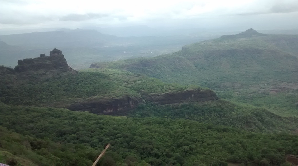 Enroute to bhimashankar temple. This is a 4 hour trek up steep hills beautiful valley. Awesome and treacherous.