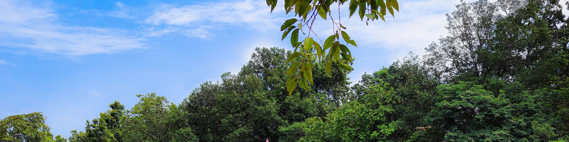 Koilighughar Waterfalls, Jharsuguda, Odisha