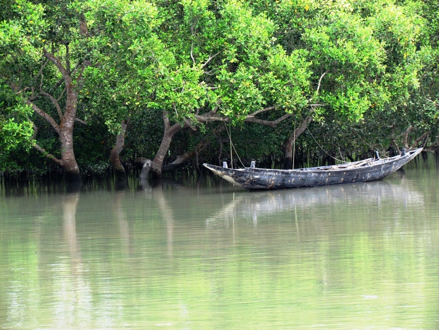 Sundeban-One of the Best known Mangrove Forest in the World and the Habitat of the famous Royal Bengal Tiger