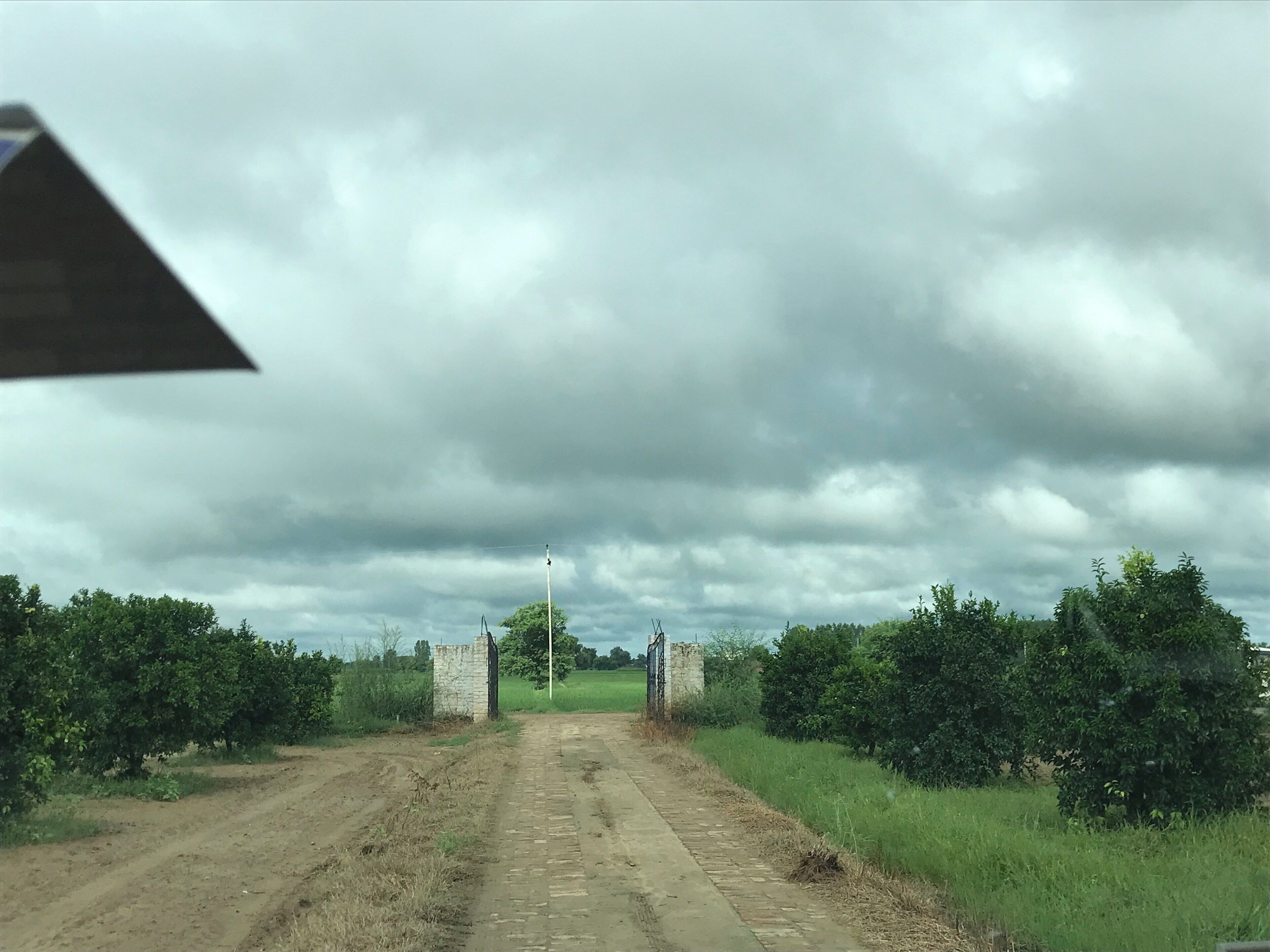 No filter required with this cloudy and rainy weather