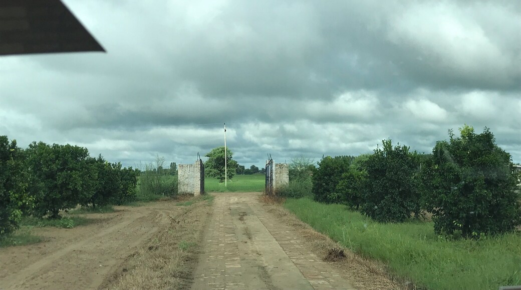 No filter required with this cloudy and rainy weather