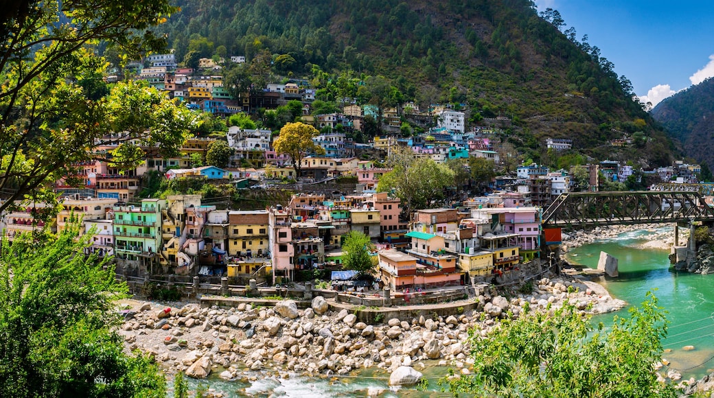 ๋ฐ๋ฐํ๋ผ์ผ๊ทธ