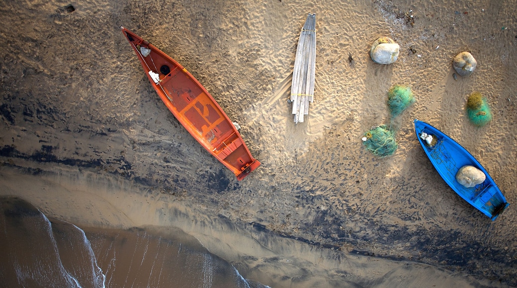 Aerial view of vibrant boats resting on the sandy shores of Mahabalipuram, their colors stark against the dark grains, as gentle waves kiss the shoreline, Mahabalipuram, Tamil Nadu, India.