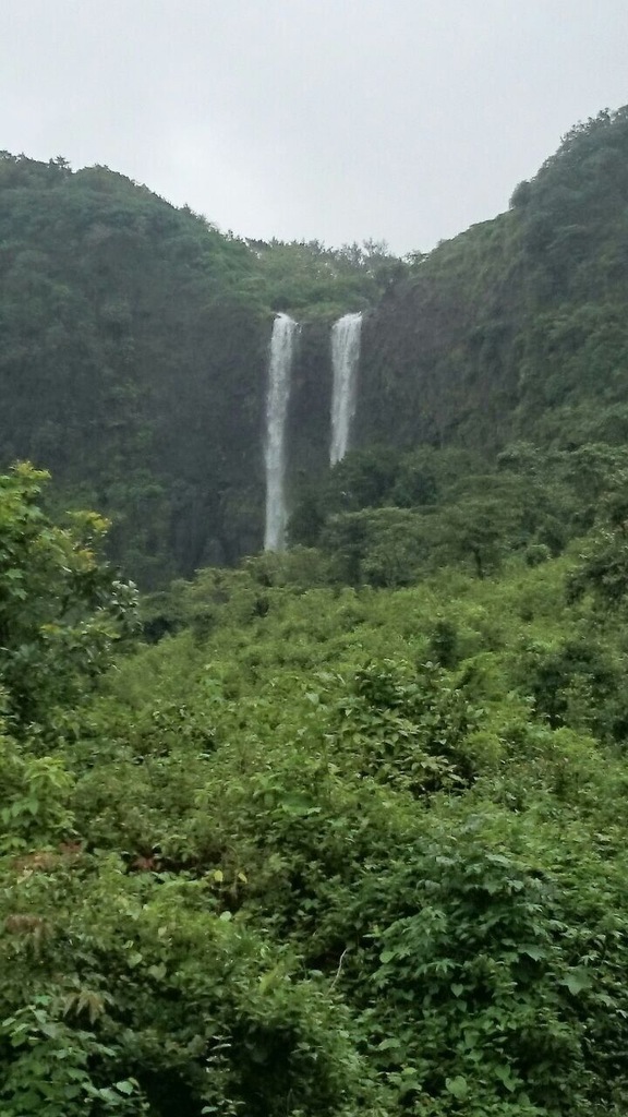 Goa