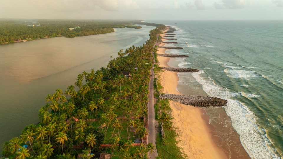 A coastal landscape with a sandy beach, palm trees, and a calm sea.