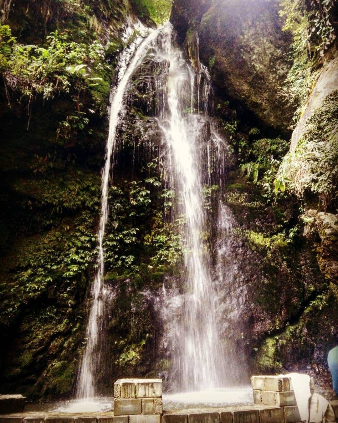 Jibhi Waterfall at the foothills of Himalayas!

#waterfallinmountains #jibhi  #icecoldwater #serendipity 