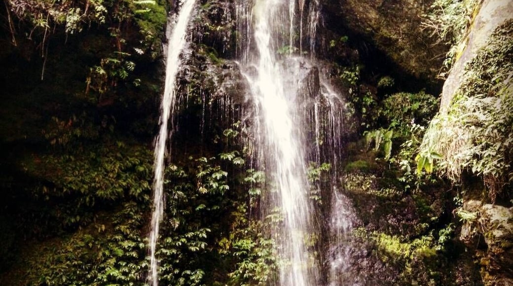 Jibhi Waterfall at the foothills of Himalayas!
#waterfallinmountains #jibhi #icecoldwater #serendipity
