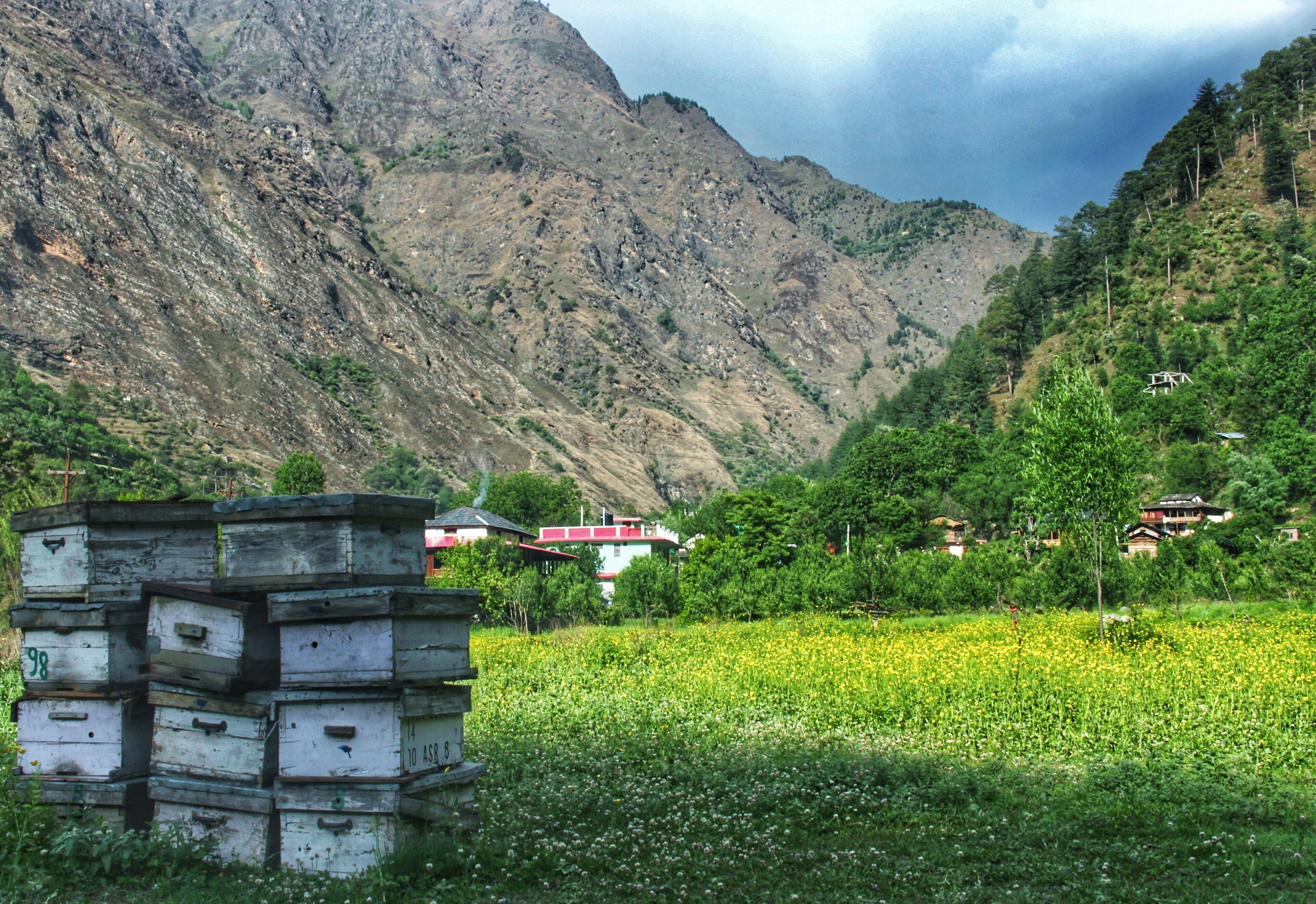 Come and meet the Chambers of imagination in the mystical valley of Tirthan.
#green #treasurebox #mountain #blue #sky #landscape
