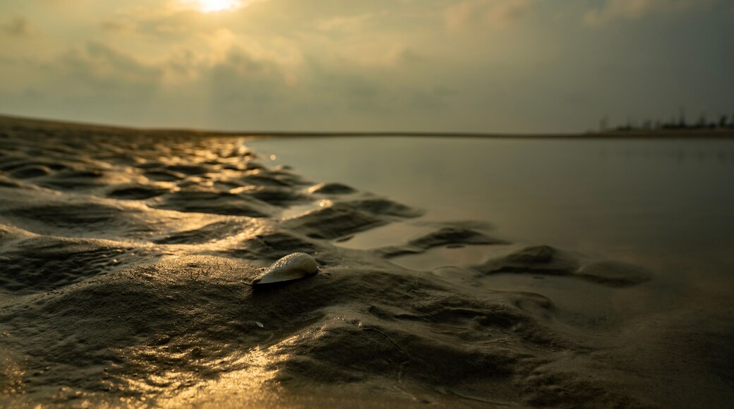 Landscape of a sea beach. Sea Beach of Bakkhali, West Bengal, India. Sunrise from Bakkhali sea beach. Land view after water run off at sea beach.