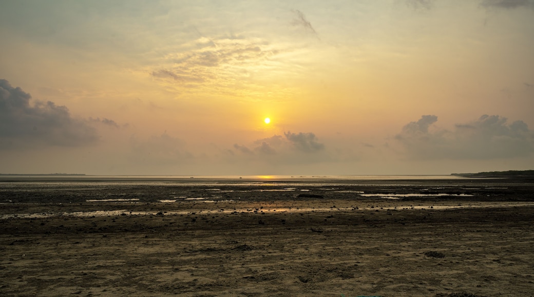 sunrise in the seashore of Bakkhali