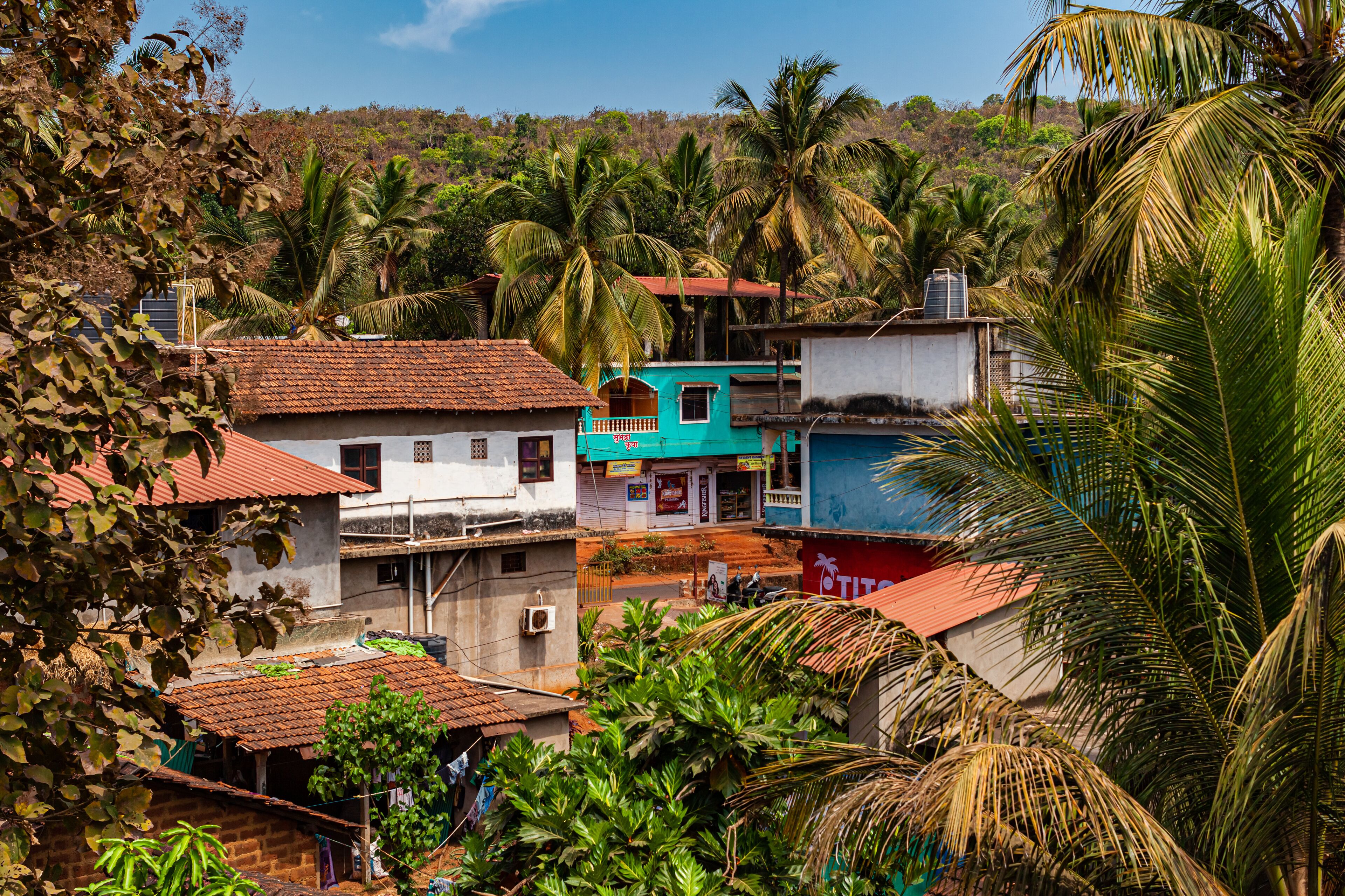 A tropical village with colorful houses, palm trees, and a hilly backdrop.