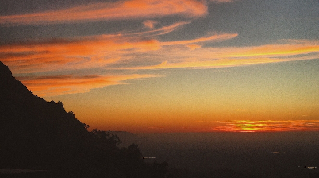 The cotton candy colored sky captured my sight till the sun was no more to be seen. #sunrise #morning #india #mtabu #mountabu #bruisedpassports