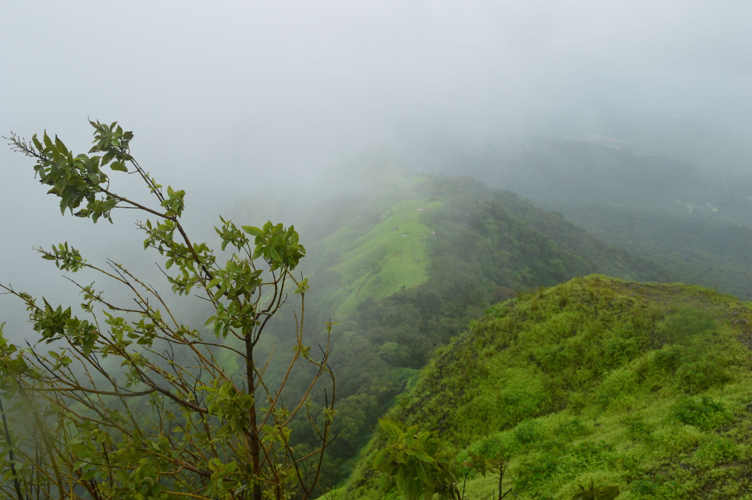 A misty mountain landscape with lush green vegetation and a river winding through the valley.