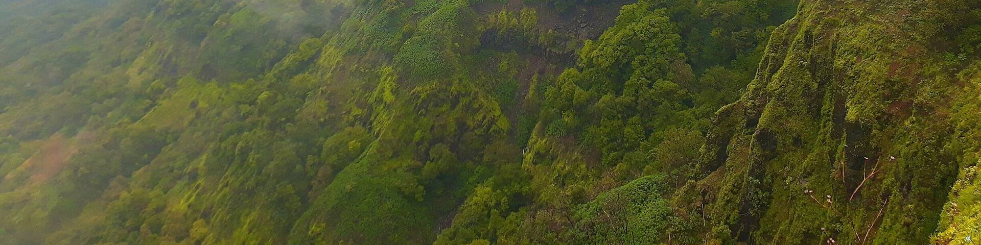 KAVLESAD POINT - AMBOLI GHATS.
Translated literally and it would be called Crows Call or Cry. 11 kms from the amboli bus stand, this point is a detour from the highway and into the wilderness. The sugarcane fields, crude road and the working farmers add to the beauty of the flowing streams, the clouds caressing your face as you feel the love of mother nature. One can reach Amboli via bus and train. Driving yourself or renting a car would be faster. Amboli ghats are in South Maharshtra and are easily accessible.
#indiatourism #amboli #natgeoindia #bbctravel #cntravel #condenasttraveller